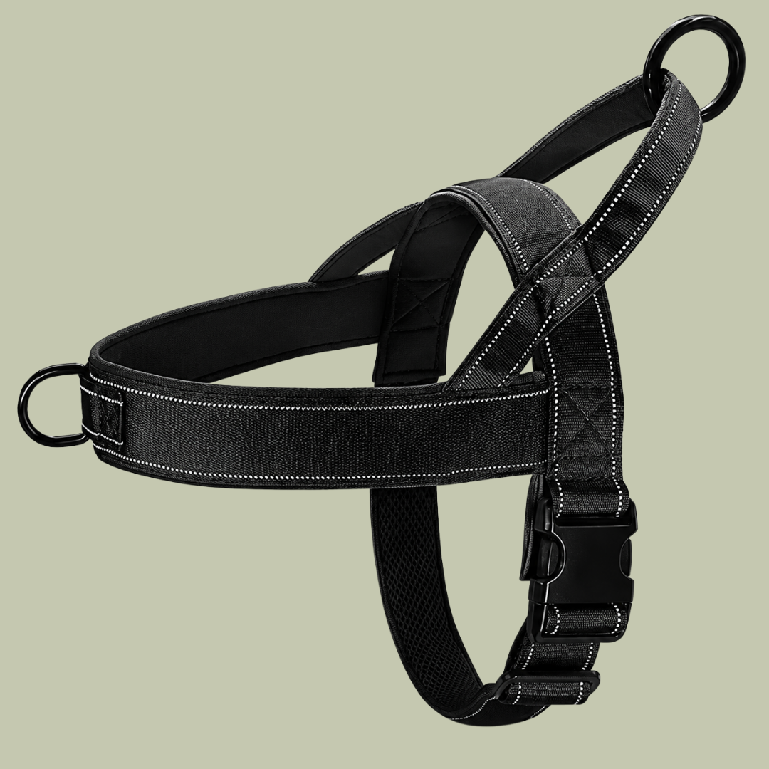 More Control. Less Pulling. Gentler on the Neck.