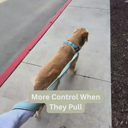 More Control. Less Pulling. Gentler on the Neck.